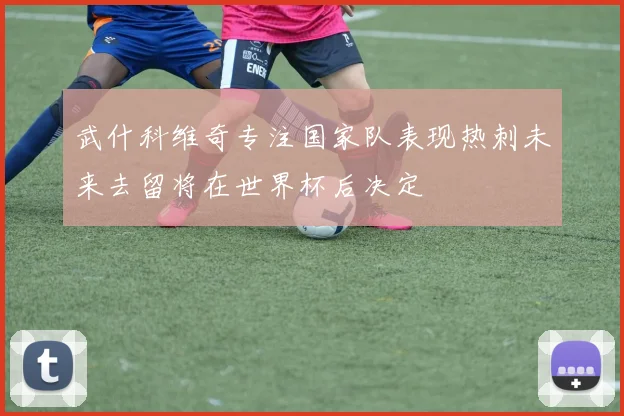 武什科维奇专注国家队表现热刺未来去留将在世界杯后决定